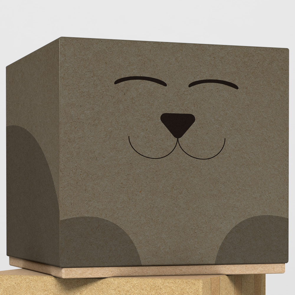 Cat Box