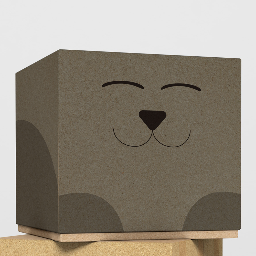 cat treat box mockup